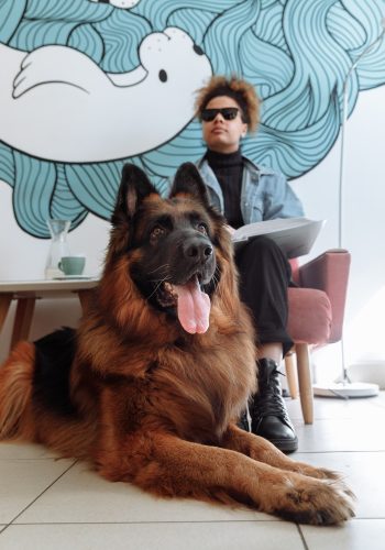 A girl with visual disability reading braille with her dog