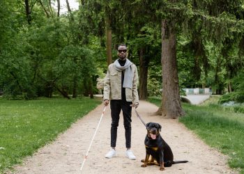 A man with visual disability with a white cane and a dog